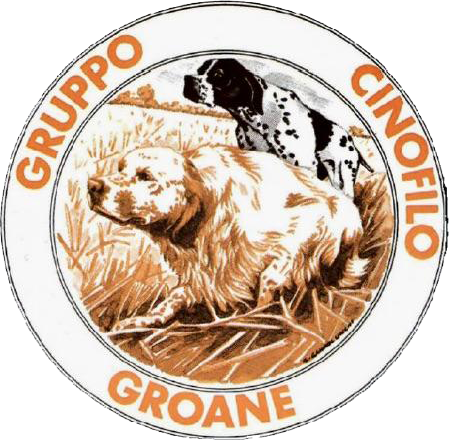 logosevesotrasp.png