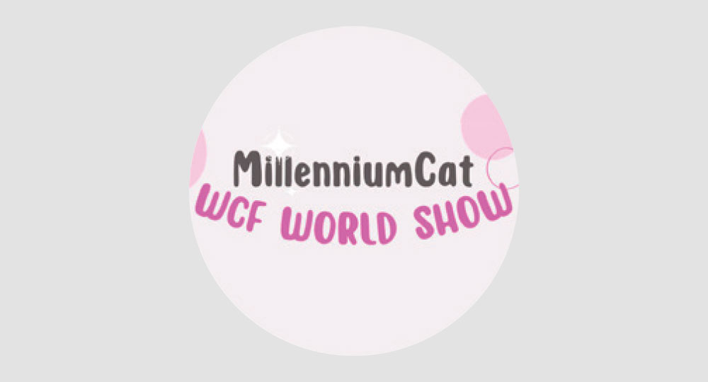 Millenium Cat